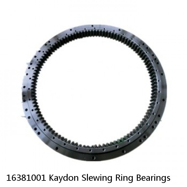 16381001 Kaydon Slewing Ring Bearings