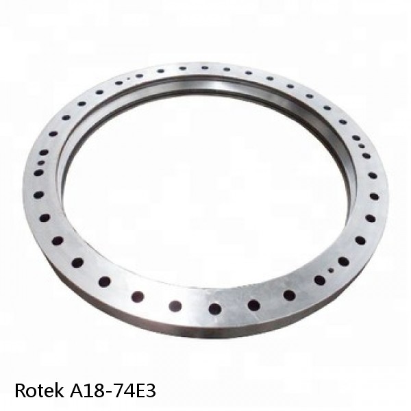 A18-74E3 Rotek Slewing Ring Bearings