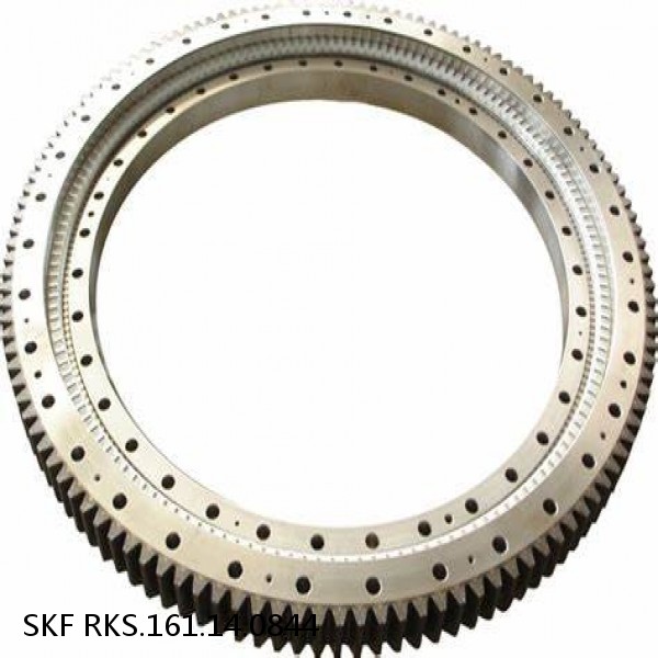 RKS.161.14.0844 SKF Slewing Ring Bearings #1 small image