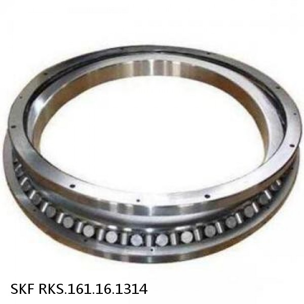 RKS.161.16.1314 SKF Slewing Ring Bearings