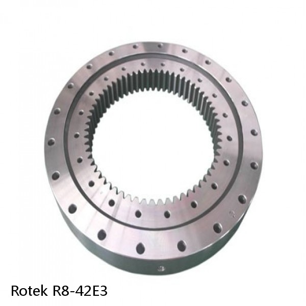 R8-42E3 Rotek Slewing Ring Bearings #1 small image