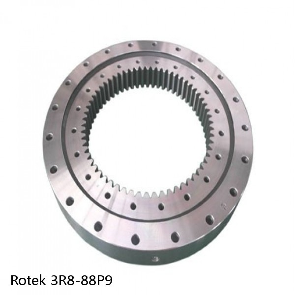 3R8-88P9 Rotek Slewing Ring Bearings #1 small image