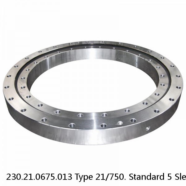 230.21.0675.013 Type 21/750. Standard 5 Slewing Ring Bearings #1 small image