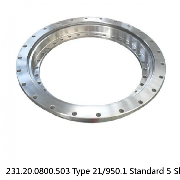231.20.0800.503 Type 21/950.1 Standard 5 Slewing Ring Bearings #1 small image
