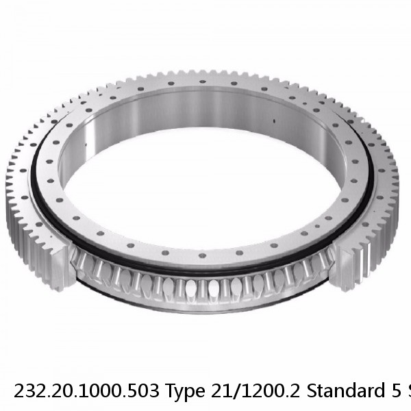 232.20.1000.503 Type 21/1200.2 Standard 5 Slewing Ring Bearings #1 small image