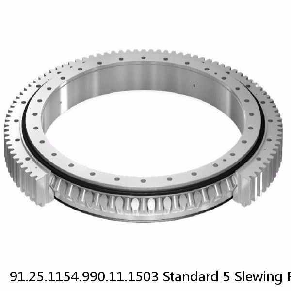 91.25.1154.990.11.1503 Standard 5 Slewing Ring Bearings #1 small image