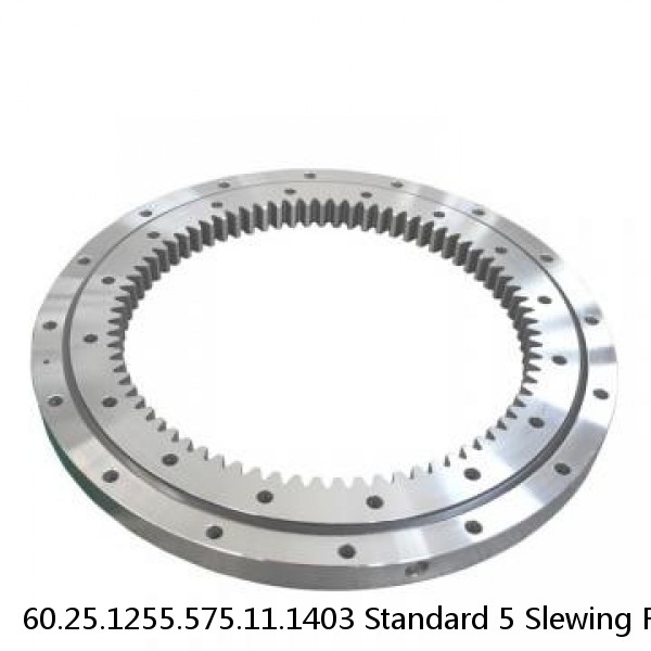 60.25.1255.575.11.1403 Standard 5 Slewing Ring Bearings #1 small image