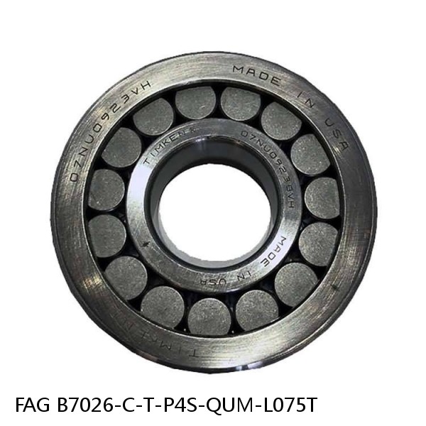 B7026-C-T-P4S-QUM-L075T FAG high precision ball bearings #1 small image