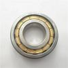 2.559 Inch | 65 Millimeter x 3.937 Inch | 100 Millimeter x 1.811 Inch | 46 Millimeter  IKO NAS5013ZZNR  Cylindrical Roller Bearings