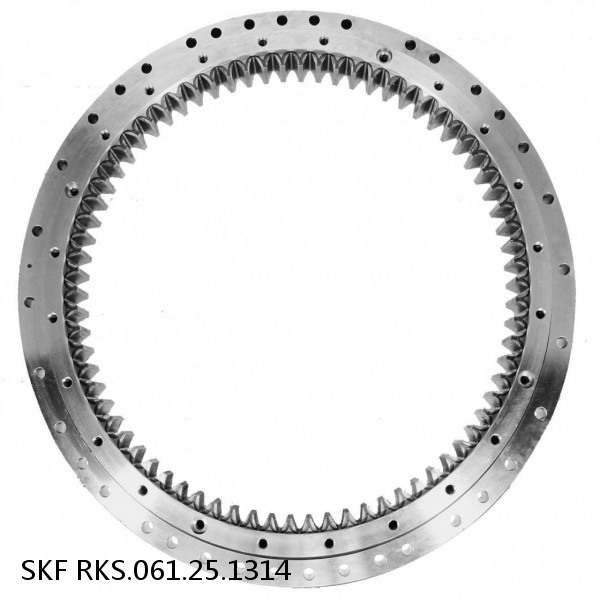 RKS.061.25.1314 SKF Slewing Ring Bearings #1 image