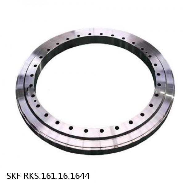 RKS.161.16.1644 SKF Slewing Ring Bearings #1 image