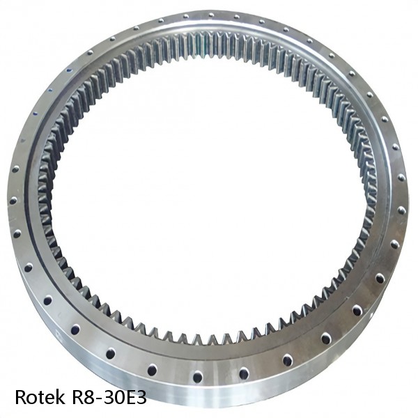 R8-30E3 Rotek Slewing Ring Bearings #1 image