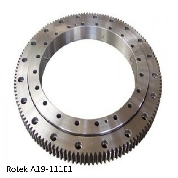 A19-111E1 Rotek Slewing Ring Bearings #1 image
