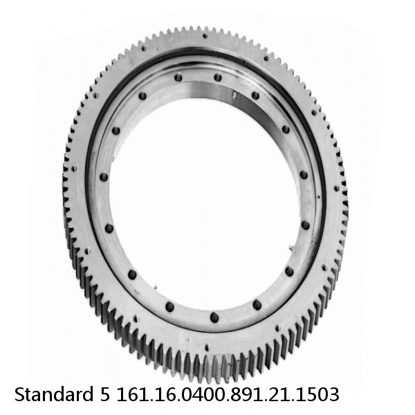 161.16.0400.891.21.1503 Standard 5 Slewing Ring Bearings #1 image