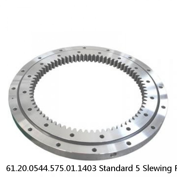61.20.0544.575.01.1403 Standard 5 Slewing Ring Bearings #1 image