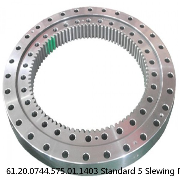 61.20.0744.575.01.1403 Standard 5 Slewing Ring Bearings #1 image