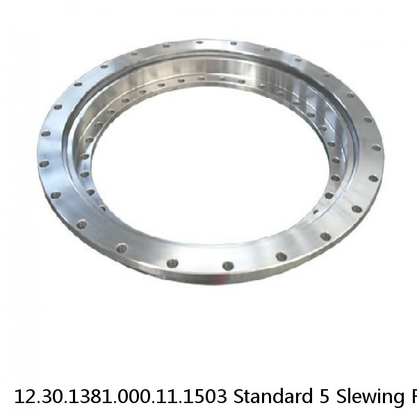 12.30.1381.000.11.1503 Standard 5 Slewing Ring Bearings #1 image