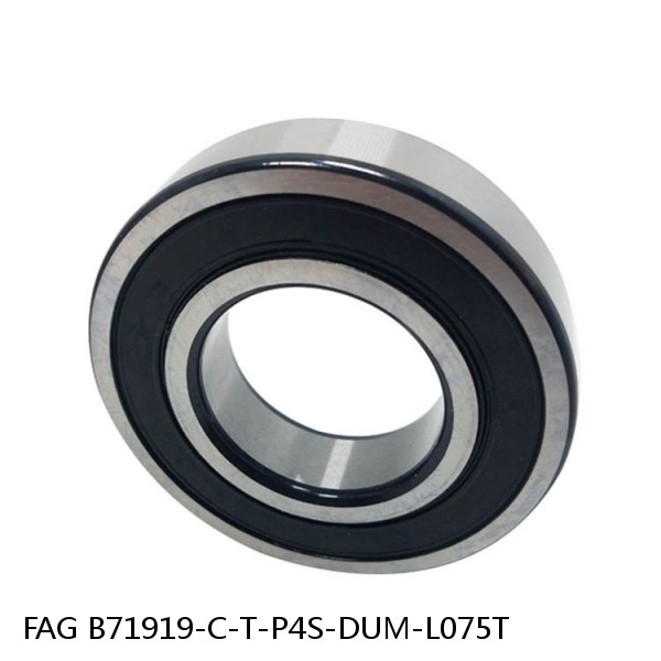 B71919-C-T-P4S-DUM-L075T FAG precision ball bearings #1 image