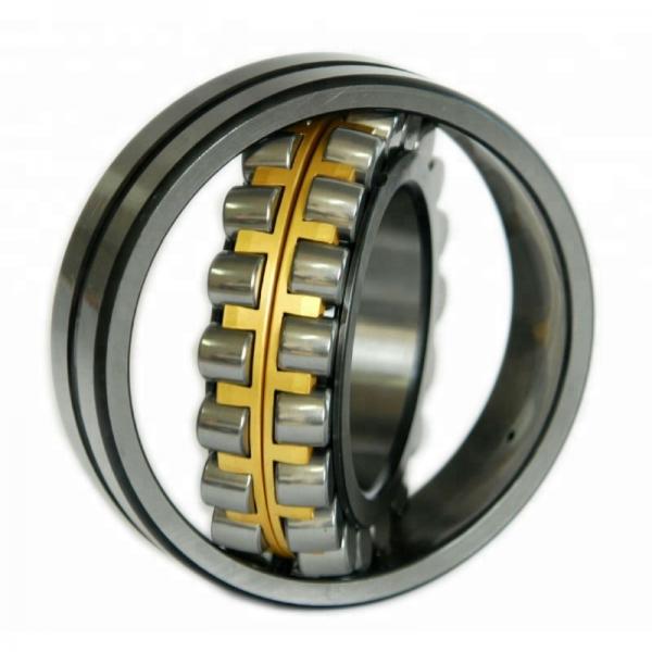 1.772 Inch | 45 Millimeter x 2.953 Inch | 75 Millimeter x 1.575 Inch | 40 Millimeter  IKO NAS5009ZZNR  Cylindrical Roller Bearings #5 image