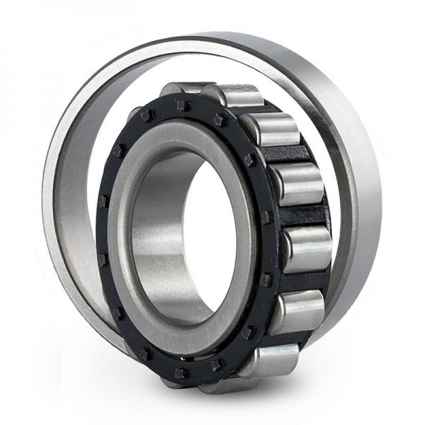 25 mm x 52 mm x 15 mm  SKF NJ 205 ECP  Cylindrical Roller Bearings #1 image
