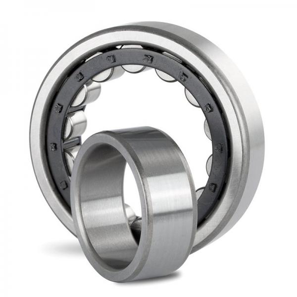0.787 Inch | 20 Millimeter x 1.85 Inch | 47 Millimeter x 0.551 Inch | 14 Millimeter  SKF NU 204 ECP/C3  Cylindrical Roller Bearings #1 image