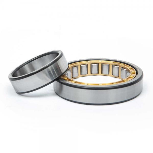 0.787 Inch | 20 Millimeter x 2.047 Inch | 52 Millimeter x 0.591 Inch | 15 Millimeter  SKF NU 304 ECP/C3  Cylindrical Roller Bearings #5 image