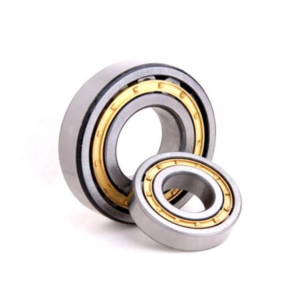 1.772 Inch | 45 Millimeter x 2.953 Inch | 75 Millimeter x 1.575 Inch | 40 Millimeter  IKO NAS5009ZZNR  Cylindrical Roller Bearings #1 image