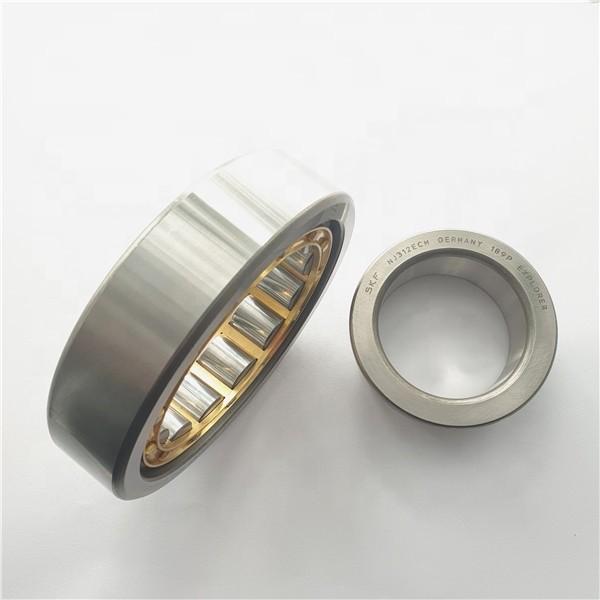 3.799 Inch | 96.5 Millimeter x 130 mm x 0.866 Inch | 22 Millimeter  SKF RNU 1017 MA  Cylindrical Roller Bearings #1 image