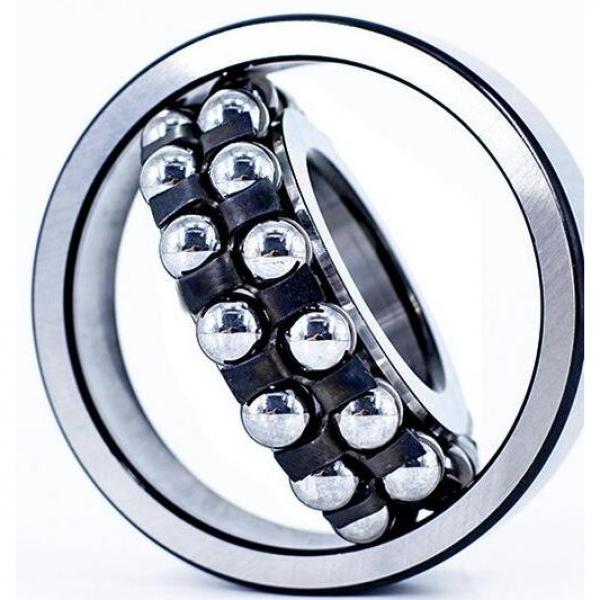 FAG 1310-K  Self Aligning Ball Bearings #2 image